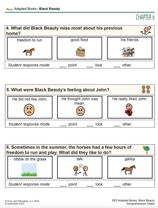 Adapted Book - Black Beauty - Image 5
